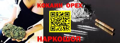сатива Краснодар