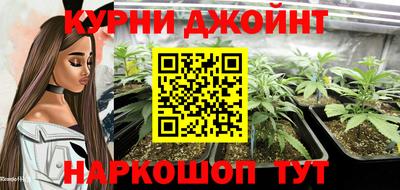 spice Краснознаменск