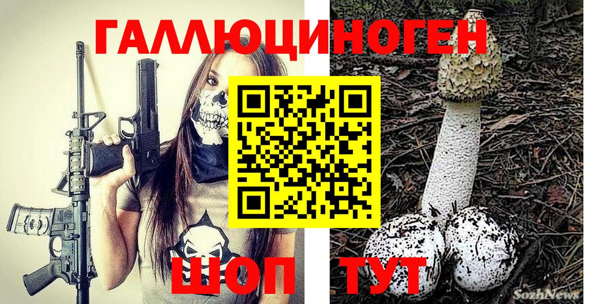 закладка  Псилоцибиновые грибы Cubensis  Вход с VPN  Каменка 
