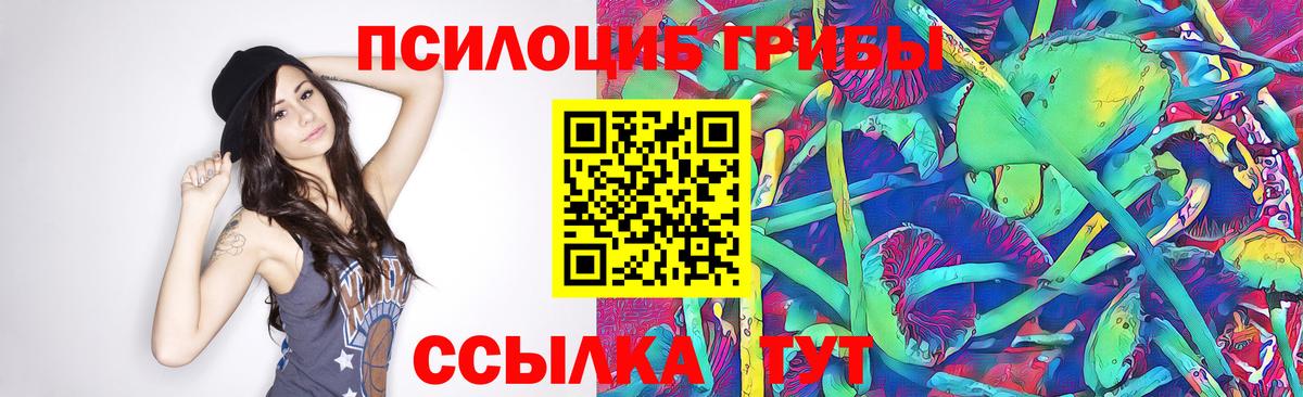 ГАШ  Метадон  Канабис  Мефедрон  МЕФ кристаллы  Каменка  Вход с VPN  NBOMe 